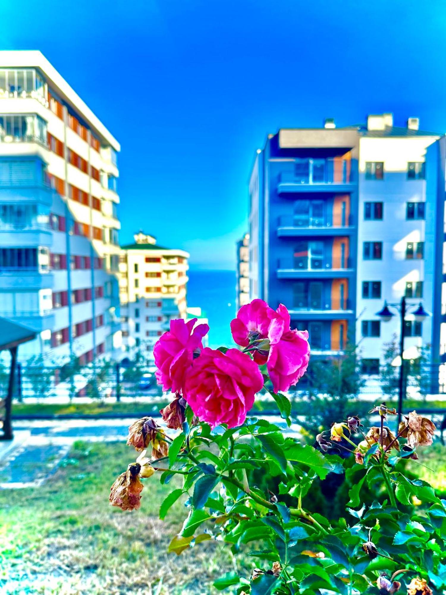 Bazalt Apart Hotel Trabzon Exterior foto